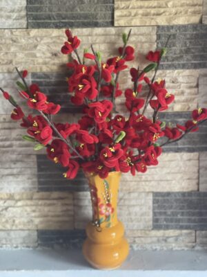 Bí Mật Ẩn Sau Nụ Cười Của Cô Bạn Hoa Khôi